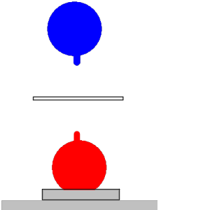 �x�b�h�T�C�h�|�W�V����